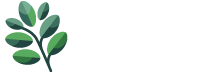Eucalyptus